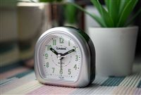 Sveglia Casio in Plastica TQ-148-8EF